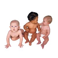 Bild Nr.1 zum Thema: Sibling test (brothers, sisters)